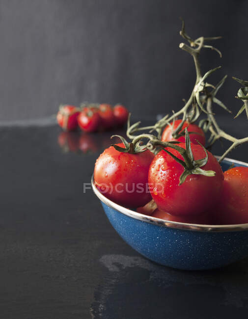 Freshly Washed Vine Ripened Tomatoes in a Blue Enamel Bowl — Stock Photo
