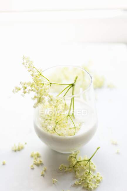 Latte di mandorla aromatizzato con fiori di sambuco — Foto stock