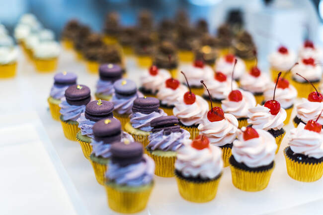 Vários cupcakes no armário de exposição, tiro de perto — Fotografia de Stock