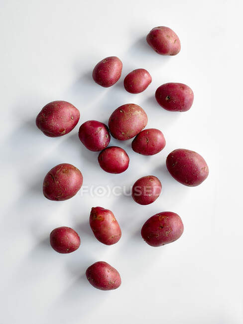 Plusieurs pommes de terre rouges vue rapprochée — Photo de stock