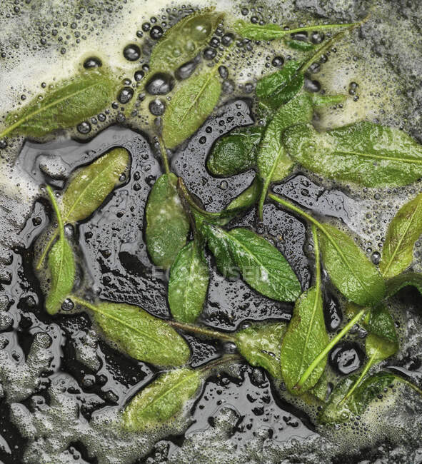 Sage leaves fried in butter — Stock Photo
