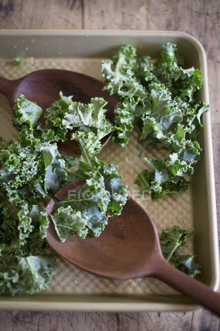 Kale leaves  close-up view — Stock Photo