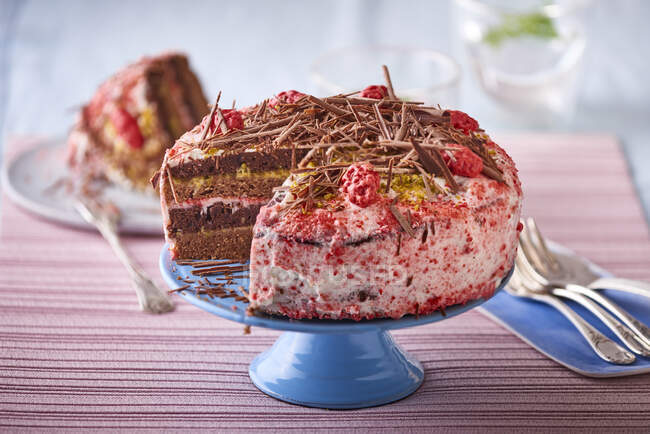 Layer cake with chocolate chips and dried raspberries — Stock Photo