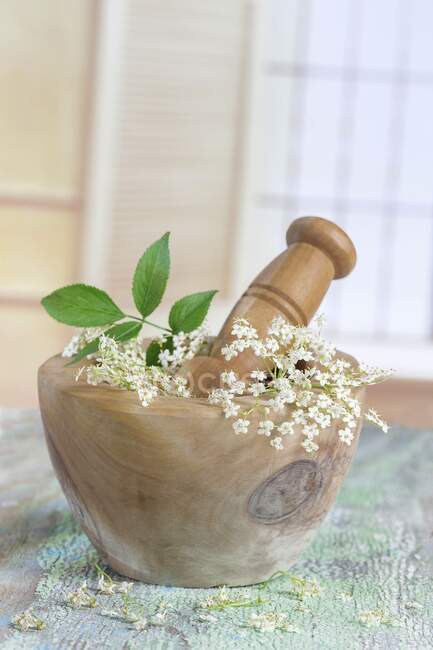 Flores de saúco frescas y hojas en mortero de madera - foto de stock