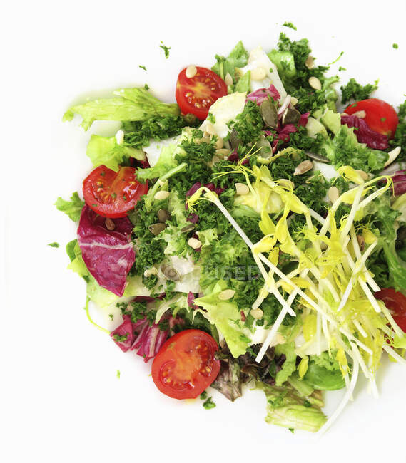Ein gemischter Salat mit Kräutern, Sprossen und Samen — Stockfoto
