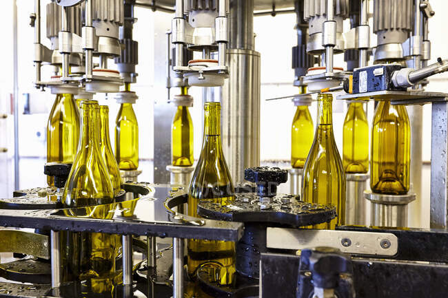 Botellas de vino en la planta embotelladora de la bodega Marques de Riscal en Rioja, España - foto de stock