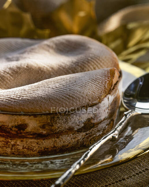 Vacherin Mont-d'Or (soft French cheese) — Stock Photo