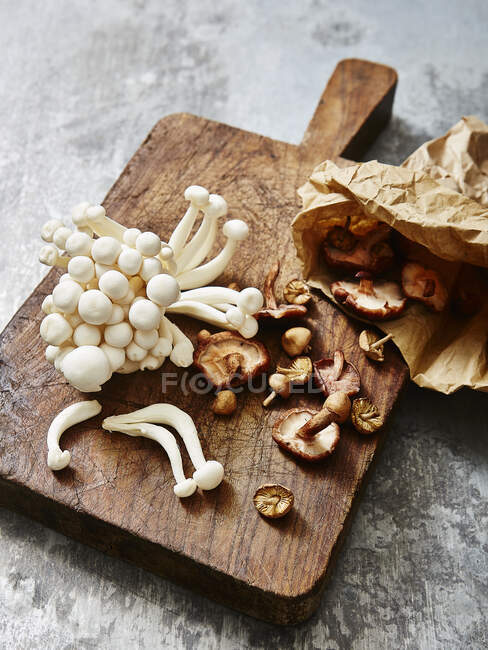 Various Mushrooms on Wooden Chopping board — Stock Photo