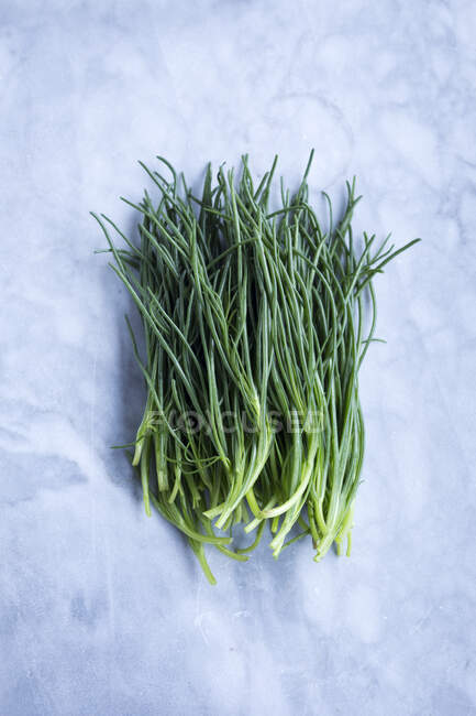 Barba di Frate or 'Monk's Beard' (Mediterranean spring vegetables) — Stock Photo
