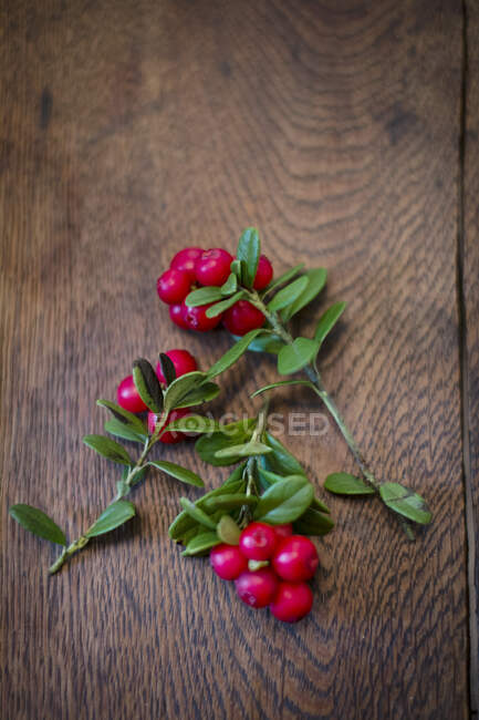 Sprigs of lingonberries on a wooden surface — Stock Photo
