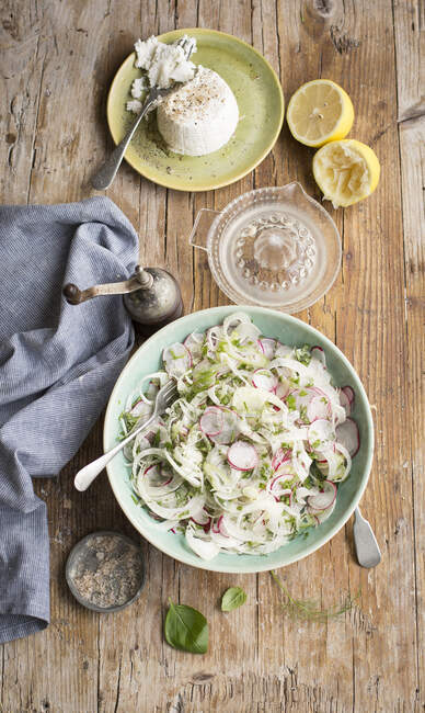 Salade de fenouil et radis — Photo de stock