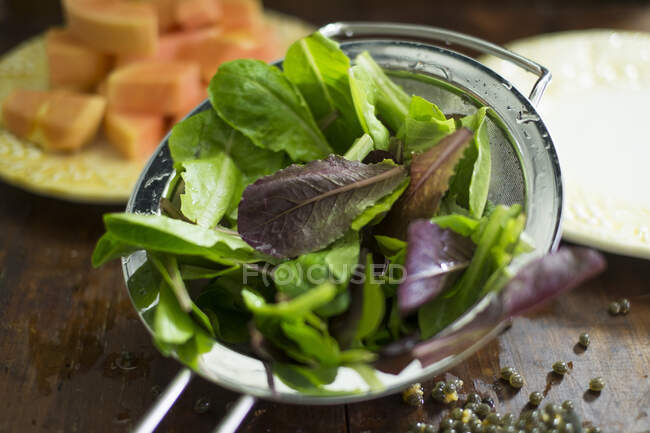 Салатні інгредієнти: змішане листя промивають у ситі — стокове фото