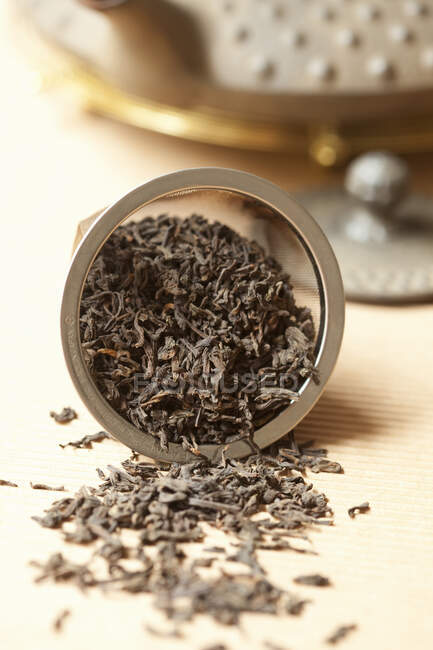 Close-up shot of delicious Pu Erh tea leaves in a tea strainer — Stock Photo