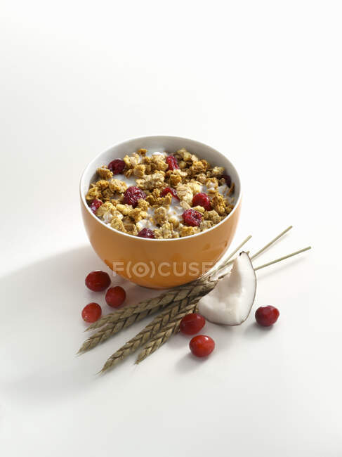 Muesli crocante com cranberries e coco em uma tigela pequena — Fotografia de Stock