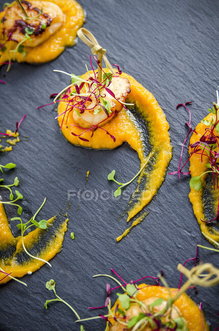 Fried scallops on mashed butternut squash with cress — Stock Photo