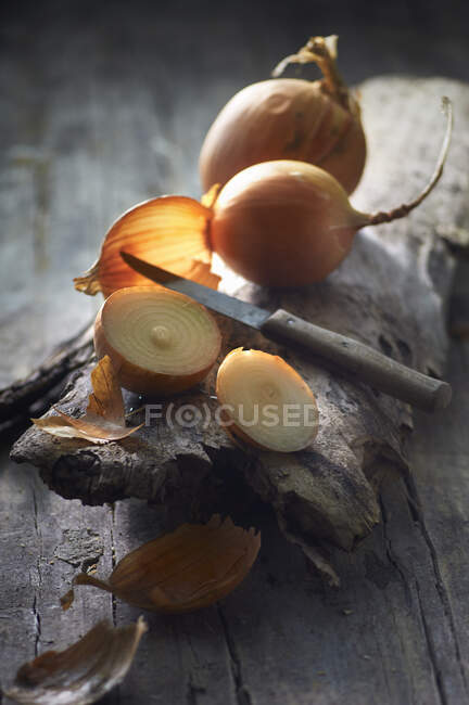 Onions and a knife on a log — Stock Photo