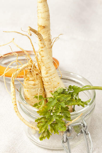 Organic Hamburg parsley in a pickling jar — Stock Photo