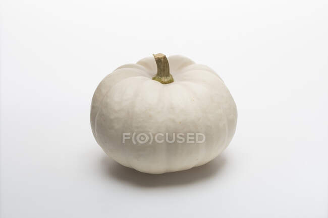 Baby boo (white, round, ornamental squash) — Stock Photo