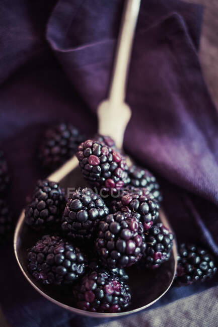 Fresh blackberries close-up view — Stock Photo