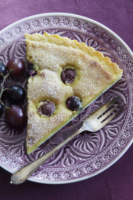 Um pedaço de torta de uva — Fotografia de Stock