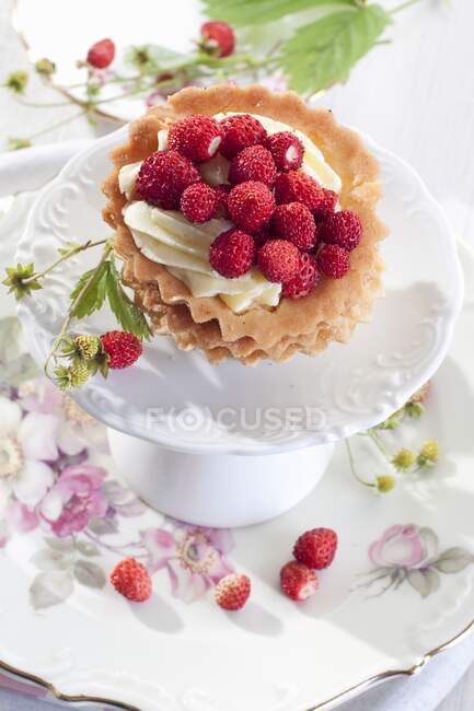 Tartaleta con crema y fresas silvestres en stand - foto de stock