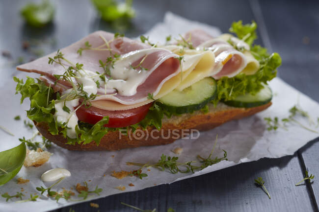 Ein Sandwich mit Schinken, Käse, Mayonnaise und Kresse — Stockfoto