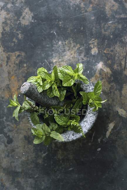 Peppermint in stone mortar — Stock Photo