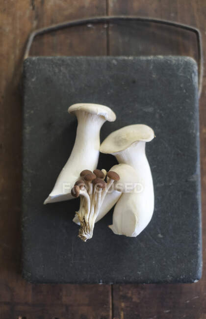 Various fresh mushrooms on a stone platter (seen from above) — Stock Photo