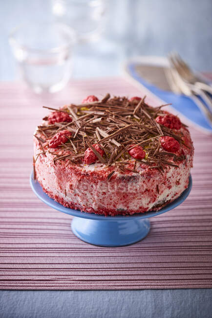 Layer cake with chocolate chips and dried raspberries — Stock Photo