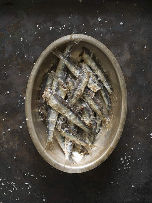 Fried sardines with salt in a metal dish — Stock Photo