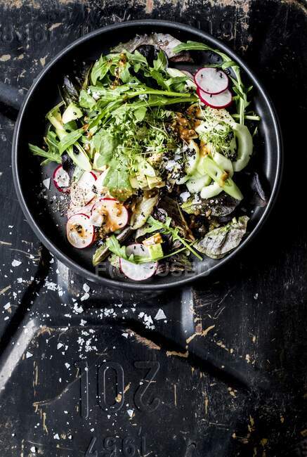 Ein grüner Salat mit Radieschen, Frühlingszwiebeln und Tahini — Stockfoto
