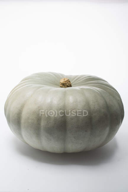 A grey-green pumpkin on a white surface — Stock Photo