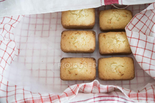 Mini bolos de coco inacabados — Fotografia de Stock
