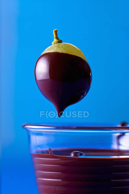 Una uva sumergida en chocolate - foto de stock