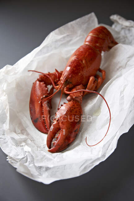 Uma lagosta inteira cozida em papel branco — Fotografia de Stock