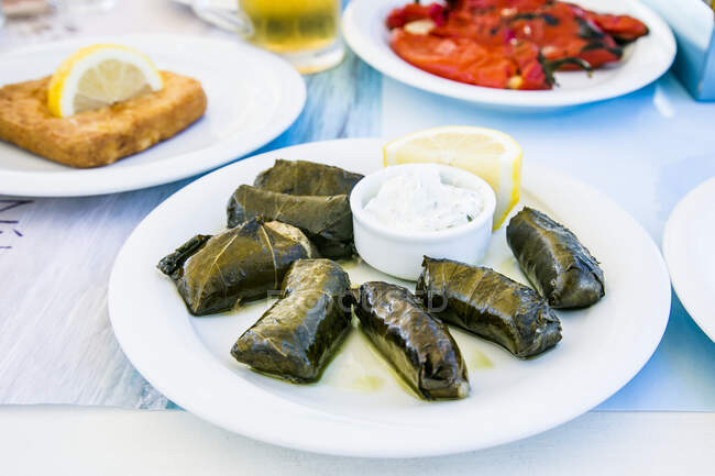 Dolmades grecques servies avec sauce tzatziki — Photo de stock