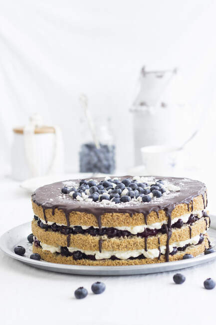 Summer cake with a nut sponge base and a blueberry cream filling — Stock Photo