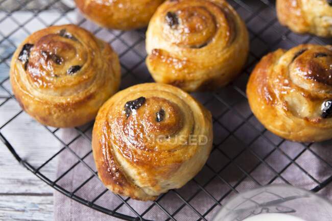 Cinnamon swirls with raisins on a wire cooling rack — Stock Photo