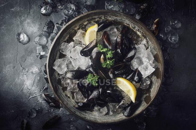 Raw mussels with parsley and lemon on ice — Stock Photo