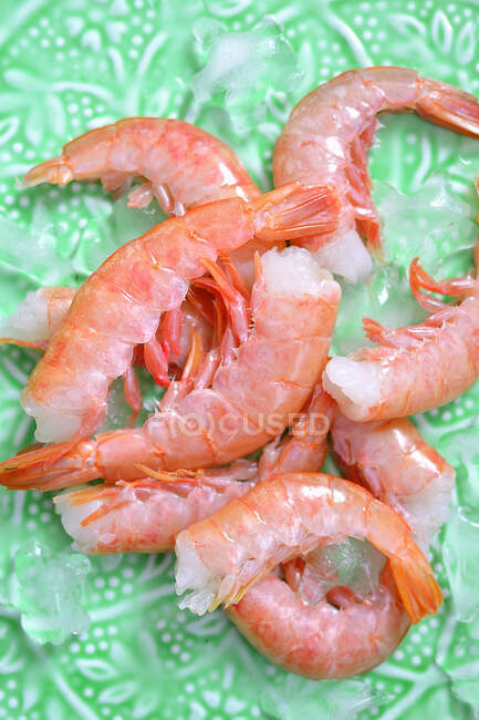Boiled shrimps on ice — Stock Photo