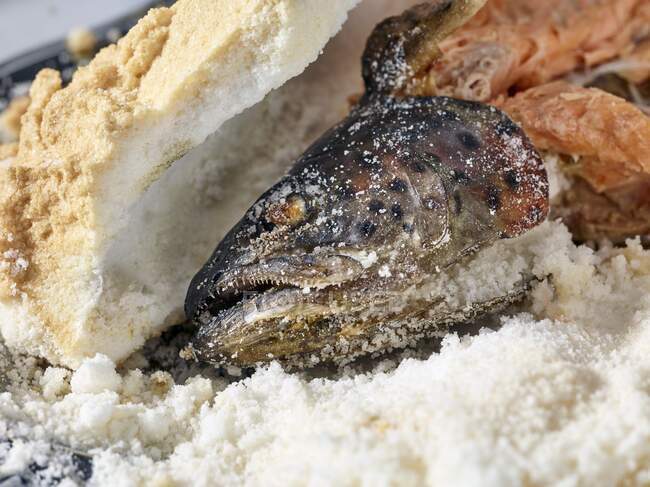 Trota di salmone in crosta di sale — Foto stock