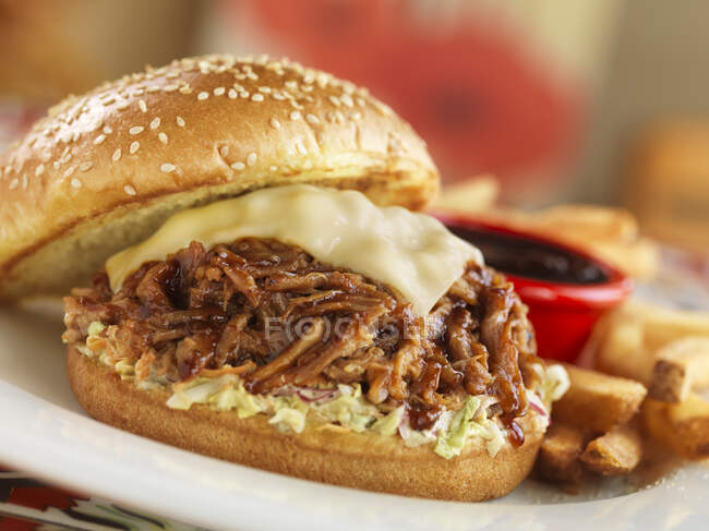 Close-up shot of delicious Pulled pork burgers with cheese — Stock Photo