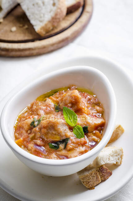 Pappa al pomodoro, bread and tomato soup with red onions and basil — Stock Photo