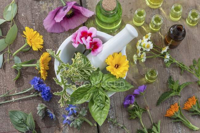 Varias flores curativas, hierbas y aceites en y alrededor de un mortero - foto de stock