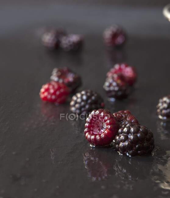 Freshly Picked Wild Raspberries on Slate — Stock Photo