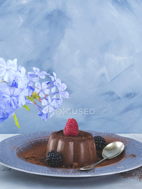 Chocolate panna cotta dessert garnished with berries over blue gray background — Stock Photo