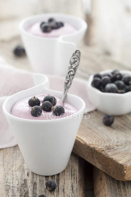 Cremige Desserts mit schwarzen Johannisbeeren, Quark und Vanille — Stockfoto