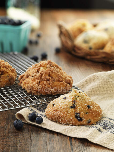 Blueberry scones on a wire rack — Stock Photo