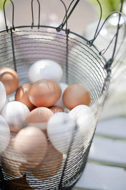 Ovos de galinha brancos e marrons em cesta de arame — Fotografia de Stock