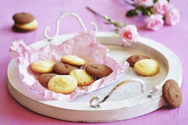 Bright and dark biscuits on white tray — Stock Photo